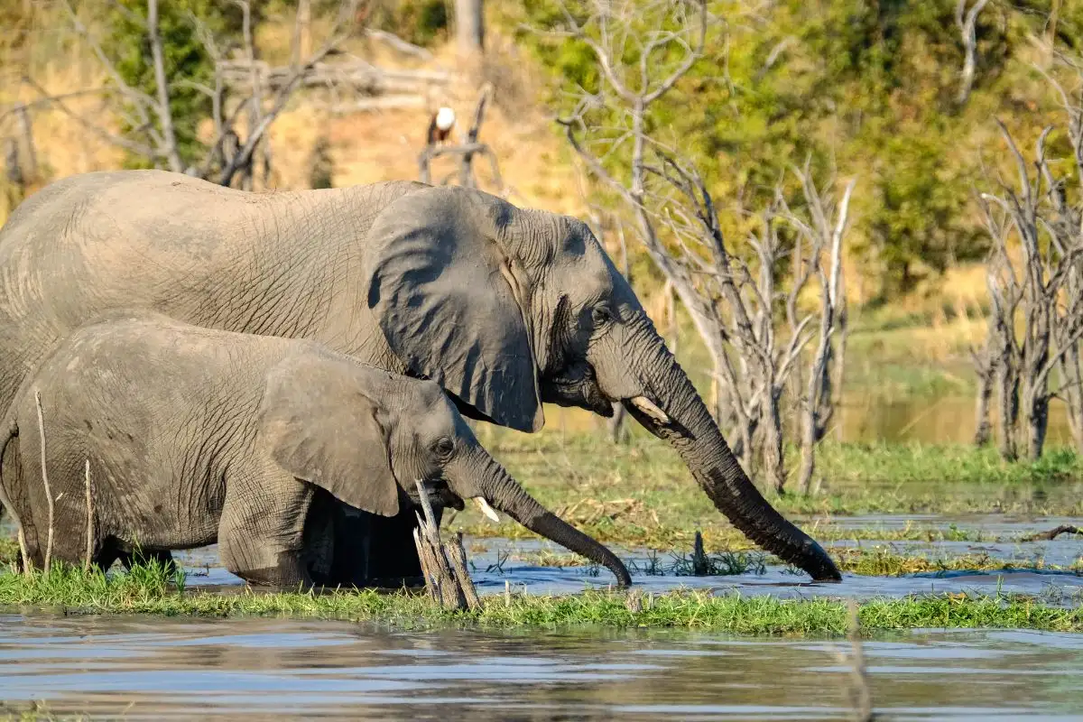 11 Days and 10 Nights Private Northern Explorer Tour